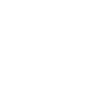 Dalkis Salcedo Logo