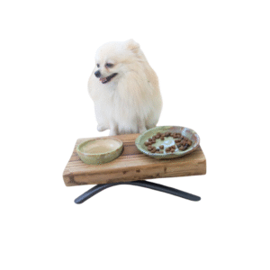 Handmade Pottery Pet Platter