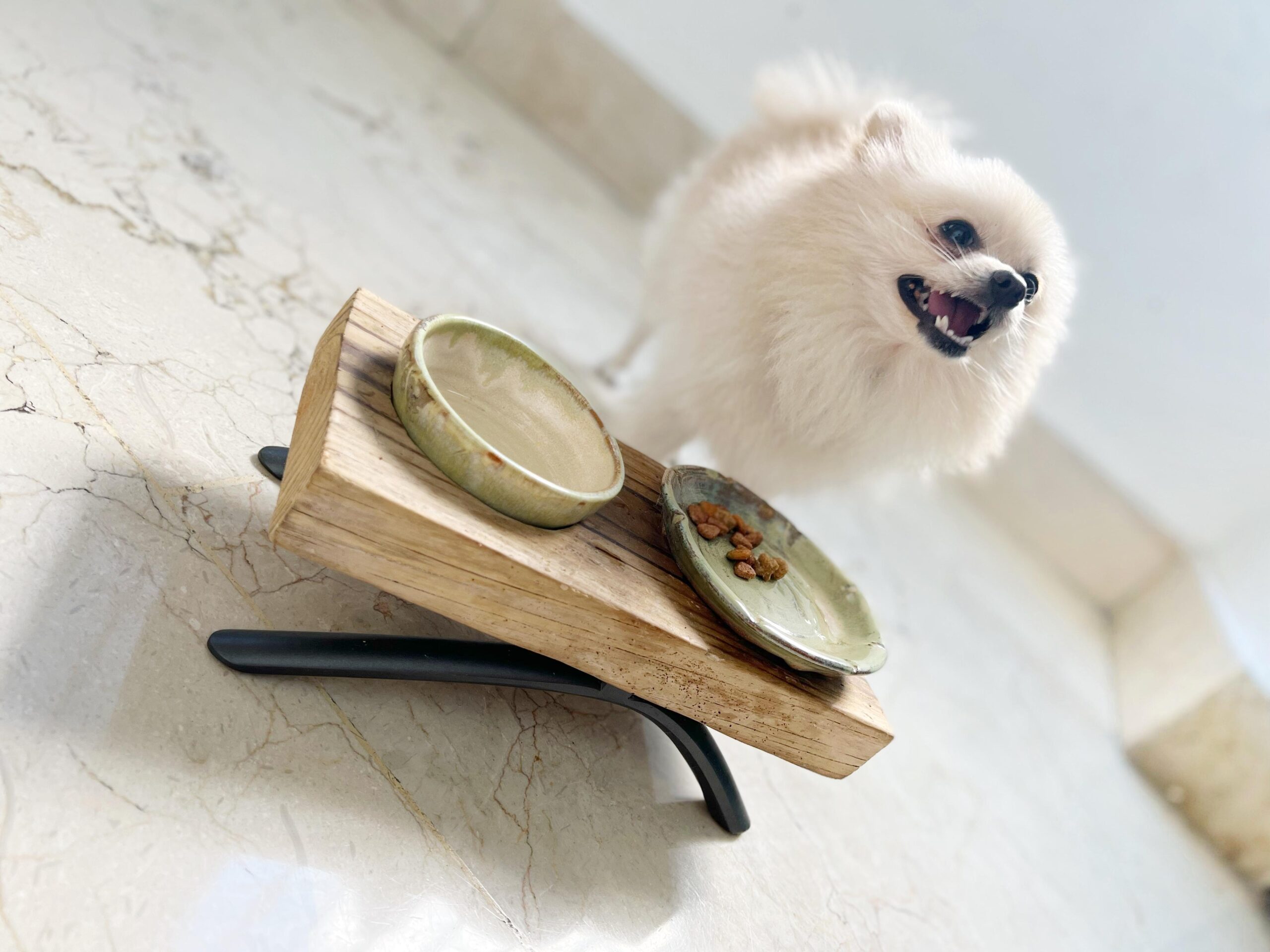 Handmade Pottery Pet Platter - Image 2